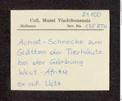 Etikett zu Ausreckmesser (Streichmesser) (NHMW-ZOO-MO-0081100-ETH-135)